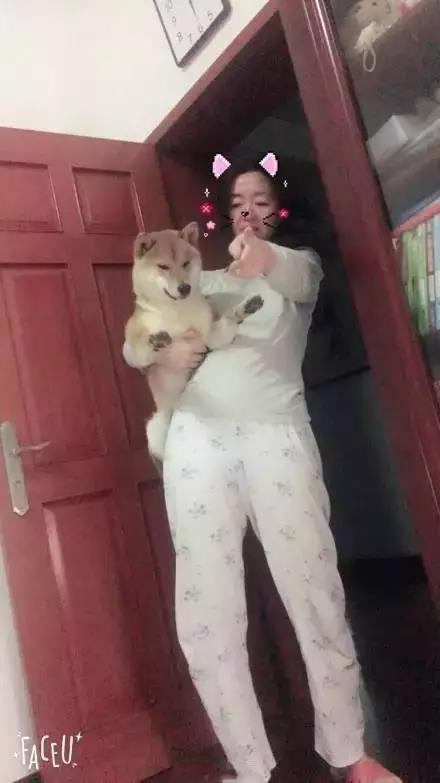 軟板廠之爸媽，我真的是你們親生的嗎？
