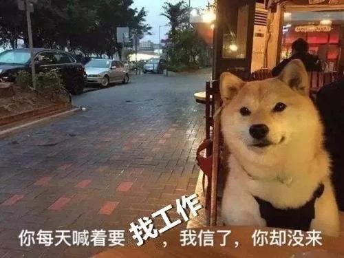 招聘 | 這是一道送錢題，有膽你就來！